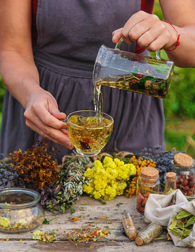 Phytotherapie – die Kraft der Pflanzen nutzen Phytotherapie – die Kraft der Pflanzen nutzen